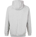 Felpa da uomo Virtus  Oralie Hoody grey