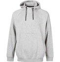 Felpa da uomo Virtus  Oralie Hoody grey