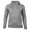 Felpa da uomo Warrior Alpha X Aspire Hoody Gray