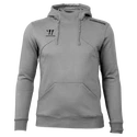 Felpa da uomo Warrior Alpha X Aspire Hoody Gray 3XL