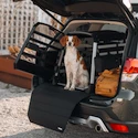 Gabbia per il trasporto dei cani Thule Allax M Compact