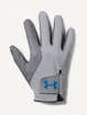 Guanti da uomo Under Armour  Storm Golf Gloves grey