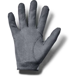 Guanti da uomo Under Armour Storm Golf Gloves grey