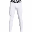 Leggings da uomo Under Armour  ColdGear Armour Leggings White