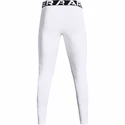 Leggings da uomo Under Armour  ColdGear Armour Leggings White