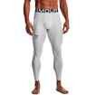 Leggings da uomo Under Armour HeatGear HG ARMOURPRINT Lgs-GRY