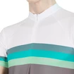 Maglia da ciclismo da uomo Sensor  Cyklo Summer Stripe Grey/Green