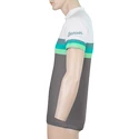 Maglia da ciclismo da uomo Sensor  Cyklo Summer Stripe Grey/Green