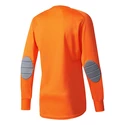 Maglia da portiere adidas  Assita 17 GK Junior