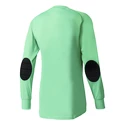 Maglia da portiere adidas  Assita 17 GK Junior