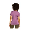 Maglietta da donna Icebreaker Merino 150 Tech Lite SS T South Const Deco