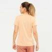 Maglietta da donna Salomon  Agile SS Tee W Almond