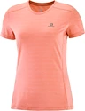 Maglietta da donna Salomon  XA Tee W Brick Dust