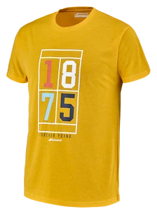 Maglietta da uomo Babolat  Exercise Vintage Tee Men Saffron Heather