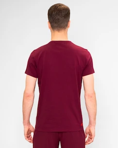 Maglietta da uomo BIDI BADU  Protected Leafs Chill Tee Bordeaux