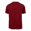 Maglietta da uomo Fila  T-Shirt Bosse Cabernet/White Alyssum