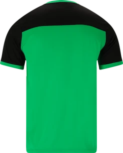 Maglietta da uomo FZ Forza  Alberti M S/S Tee Perfect Green