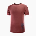 Maglietta da uomo Salomon Cross Run Graphic Tee Cabernet XL