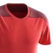 Maglietta da uomo Salomon  Essential Colorblock Fiery Red