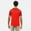 Maglietta da uomo Salomon  Essential Colorblock Fiery Red