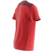 Maglietta da uomo Salomon  Essential Colorblock Fiery Red