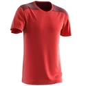 Maglietta da uomo Salomon  Essential Colorblock Fiery Red