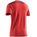 Maglietta da uomo Salomon  Essential Colorblock Fiery Red