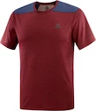 Maglietta da uomo Salomon  Outline SS Tee Cabernet XL