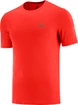 Maglietta da uomo Salomon  XA Trail Tee M Goji Berry