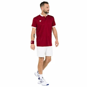 Maglietta da uomo Tecnifibre  Club Polo Cardinal