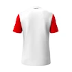 Maglietta per bambini Head  CLUB 25 Tech T-Shirt Boys Red/White