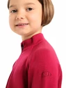 Maglietta per bambini Icebreaker  K 260 Tech LS Half Zip Cherry