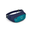 Marsupio OSPREY Daylite Waist Pack blue spikemoss/alkaline