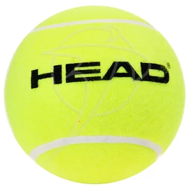 Pallina da tennis Head Medium Tennis Promo Ball