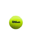 Palline da padel Wilson  Premier Padel Ball X3