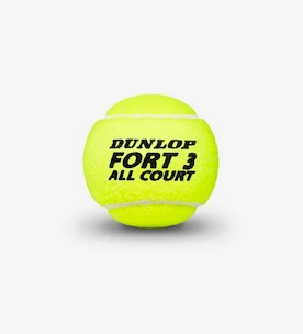 Palline da tennis Dunlop  Fort All Court TS