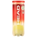 Palline da tennis Head  Championship (3 Pack)