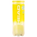 Palline da tennis Head  Team 3B (3 Pack)