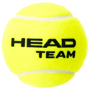 Palline da tennis Head  Team 3B (3 Pack)