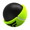 Palline da tennis Tecnifibre  X-One (4 Pack)