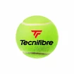 Palline da tennis Tecnifibre  X-One (4 Pack)