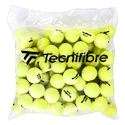 Palline da tennis Tecnifibre  XLD (72 Pack)