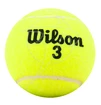 Palline da tennis Wilson  Championship (4 Pack)