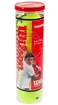 Palline da tennis Wilson  Championship (4 Pack)