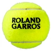 Palline da tennis Wilson  Roland Garros Clay (3 Pack)