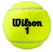 Palline da tennis Wilson  Roland Garros Clay (3 Pack)