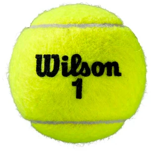 Palline da tennis Wilson  Roland Garros Clay (3 Pack)