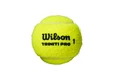 Palline da tennis Wilson  Triniti Pro (4 Pack)
