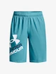 Pantaloncini da bambino Under Armour  Prototype 2.0 Logo Shorts-BLU S