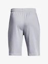 Pantaloncini da bambino Under Armour  Prototype 2.0 Logo Shorts gray